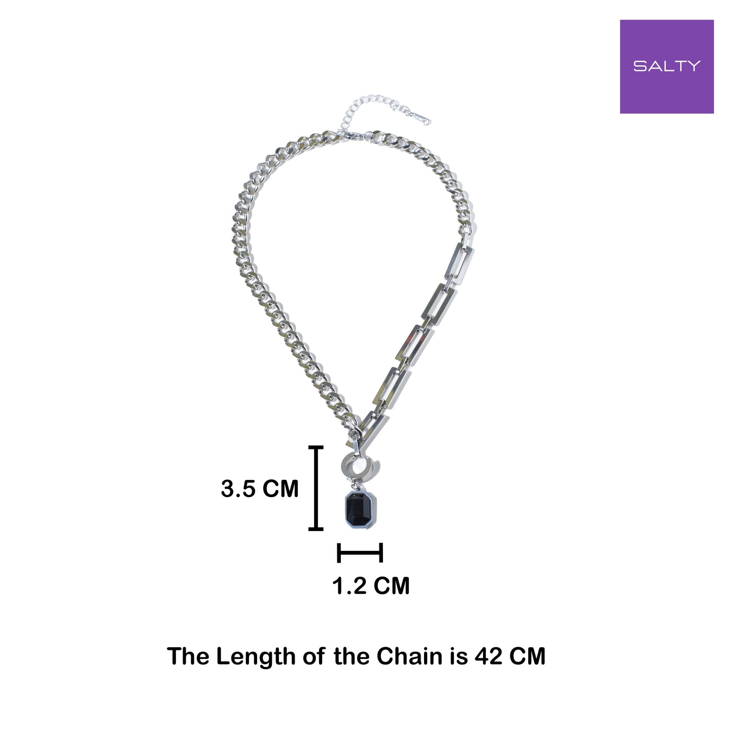 2 in 1 Stellar Shungite Silver Chain and Earring